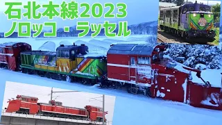 石北本線2023 ノロッコ・ラッセル