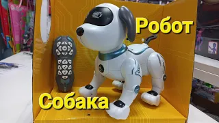 Собака-робот на радиоуправлении, работает на аккумуляторе,лает, танцует, прыгает