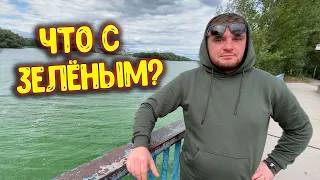 В Гостях у ЗЕЛЁНОГО / Что с ВИТАЛЕЙ ?