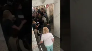 Срочно!!!ОМОН избивает и задерживает в университете студентов, МГЛУ Минск Беларусь