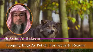 Keeping Dogs As Pets Or For Security Reasons by Sh Assim Al Hakeem