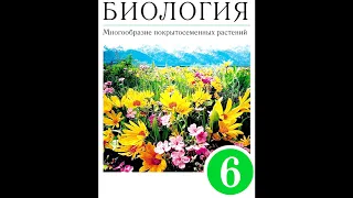 § 28 Класс Двудольные. Семейства Паслёновые, Мотыльковые и Сложноцветные