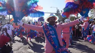 2022 Men & Lady Buck Jumpers: High-Energy Second Line Parade in New Orleans