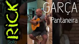 Rick  _ Garça Pantaneira