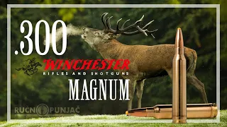 300 Winchester Magnum