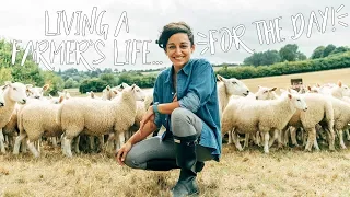 British Sheep Farming: Living A Farmer's Life For The Day!