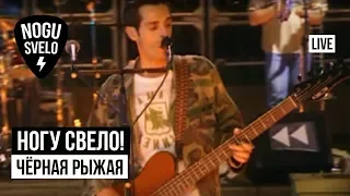 Ногу Свело! - Чёрная рыжая (Live). Концерт "Потерянный поезд" (2005)