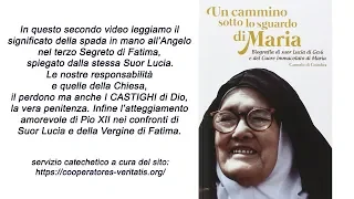 Fatima: Sr.Lucia spiega il Castigo nel terzo Segreto