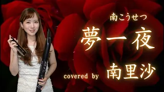 「夢一夜 / 南こうせつ」covered by 南里沙【クロマチックハーモニカ・EWI】chromaticharmonica - Risa MINAMI