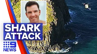 Man dies after shark attack while holidaying | 9 News Australia