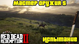 Прохождение RDR 2 на 100% - Испытание: Мастер оружия 5 (Глава 2 - Нагорье Подкова)