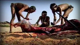 Bloody hunting (Bushmen)