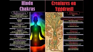 Hindu Chakras in Norse Mythology