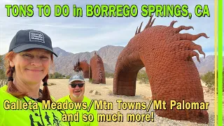 10 THINGS TO DO in Borrego Springs CA | Magical Galleta Meadows Estate | Mtn Towns & Palomar | EP257