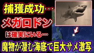 【睡眠用】メガロドンは確実に生存している…捕獲されていた…メガロドン生存説と特徴総集編【ゆっくり解説】【古代生物生存】