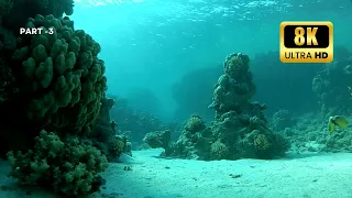 DEEP SEA WONDERS 8K PART- 3 Beneath Waves-CALMING NERVES SYSTEM - RELAXATION FROM ANXIETY, #nature