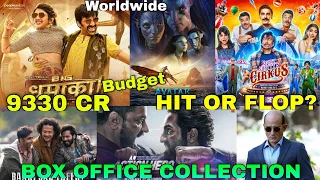 Box Office Collection of Cirkus, Big Dhamaka, Avatar 2, Bhediya, Drishyam 2 & An Action Hero Movie