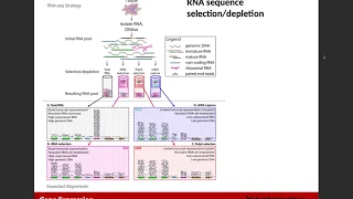 Gene Expression (RNA-Seq)