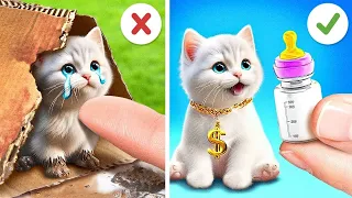 Pai vs Pet! Melhores Dicas para Donos de Pets