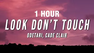 Odetari - LOOK DON’T TOUCH (Lyrics) ft. cade clair [1 HOUR]