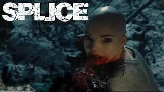 SPLICE   Una nuova specie di B movie!