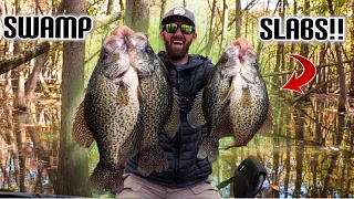 CATCHING SLAB CRAPPIE DEEP IN THE SWAMP!!! — Amazing Secret Location Produces Big Fish!