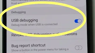 Enable USB Debugging Mode and Developer Options Samsung Galaxy A10 A10s