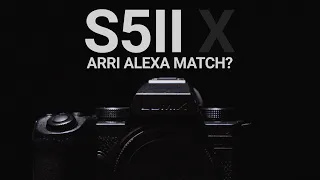Realtime LUT on the Lumix S5IIX to match an Arri Alexa Mini!