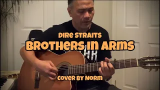 Dire Straits - Brothers In Arms (Cover by Norm) v1 La Patrie Hybrid guitar D’Addario strings