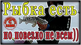 Тактика тишины: как уговорить рыбу в глухозимье на реке.