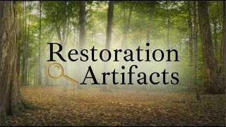 Restoration Artifacts, Digital Screening, v3 for broadcast