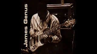 James Genus - Bass Solo - Live Royal Festival Hall '92