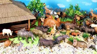 Animal Shelter Diorama and Herbivore Animal Figurines - Learn Animal Names