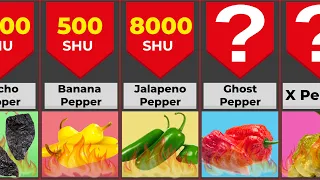 Hottest Peppers In The World | Spiciest pepper Comparison | |DataLine|