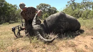 S8:E5 "SOLO BUFFALO" Water Buffalo in Australia with Remi Warren