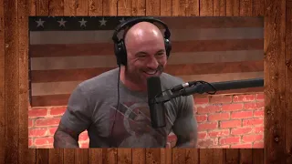 Joe Rogan On Language