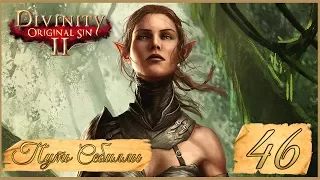 Divinity: Original Sin II ★ 46: Возвращение в Дрифтвуд.