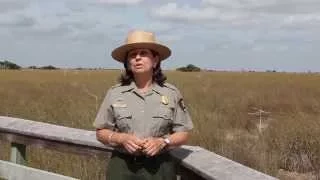 Find Your Park - Maria Thomson,  National Park Service