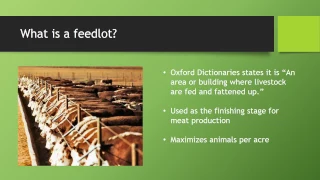 Ethics of Feedlots