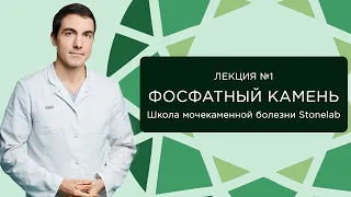 Лекция «Фосфатные камни» | Школа МКБ