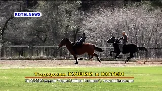 На Тодорови кушии в Котел 2019 www.kotelnews.com