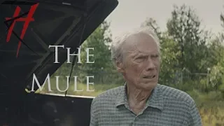 RH - The Mule Trailer