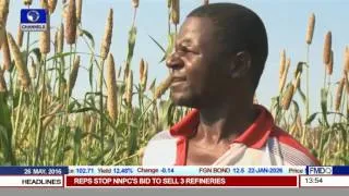 El Nino Induced Drought Causes Maize Shortfalls In Zimbabwe