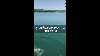 😂🤣 Смешные моменты из TikTok! Подборка приколов и ржача! Эпизод 301