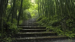 Healing Sounds - Rain Nature Relaxing Bamboo Forest, Suitable for Relaxing, Studying and Meditating