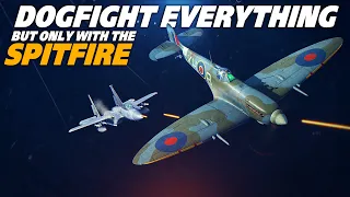 Dogfight Everything But Only In The Spitfire | Digital Combat Simulator | DCS |