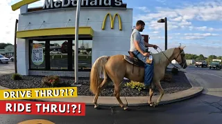 Horse vs McDonalds