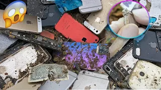 Wow!😱 Lucky Day! Found Ring and Broken Phones in Landfill - How i Restore Destroyed VIVO V20