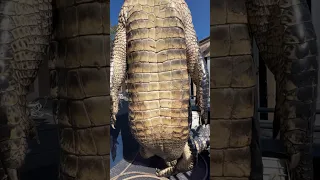 HUGE Man Eating Gator! #viral #viralvideo #viralshorts #fypシ #fyp #shortvideo #shortsvideo #shorts