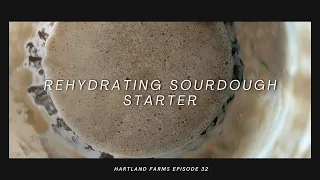 Episode #32: How to Rehydrate Sourdough Starter